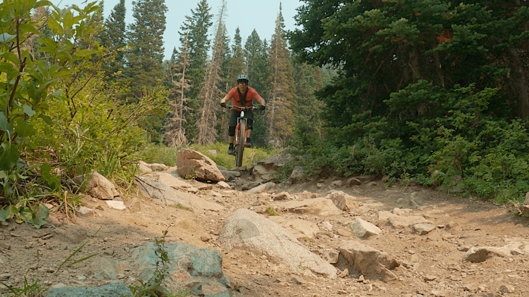 An Insider’s Look at MTB Around Solitude