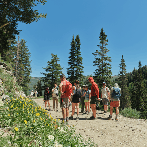 Guests participate in the Cottonwood Canyons foundation wildflower festival