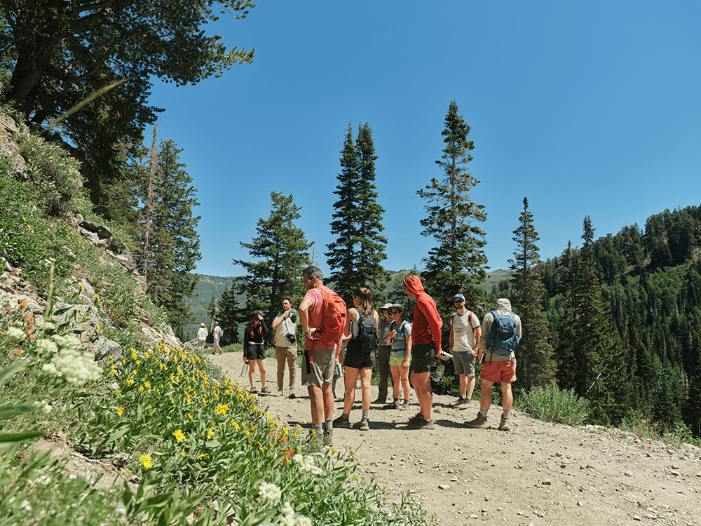 Amber’s Updates: Summer Events & Construction
