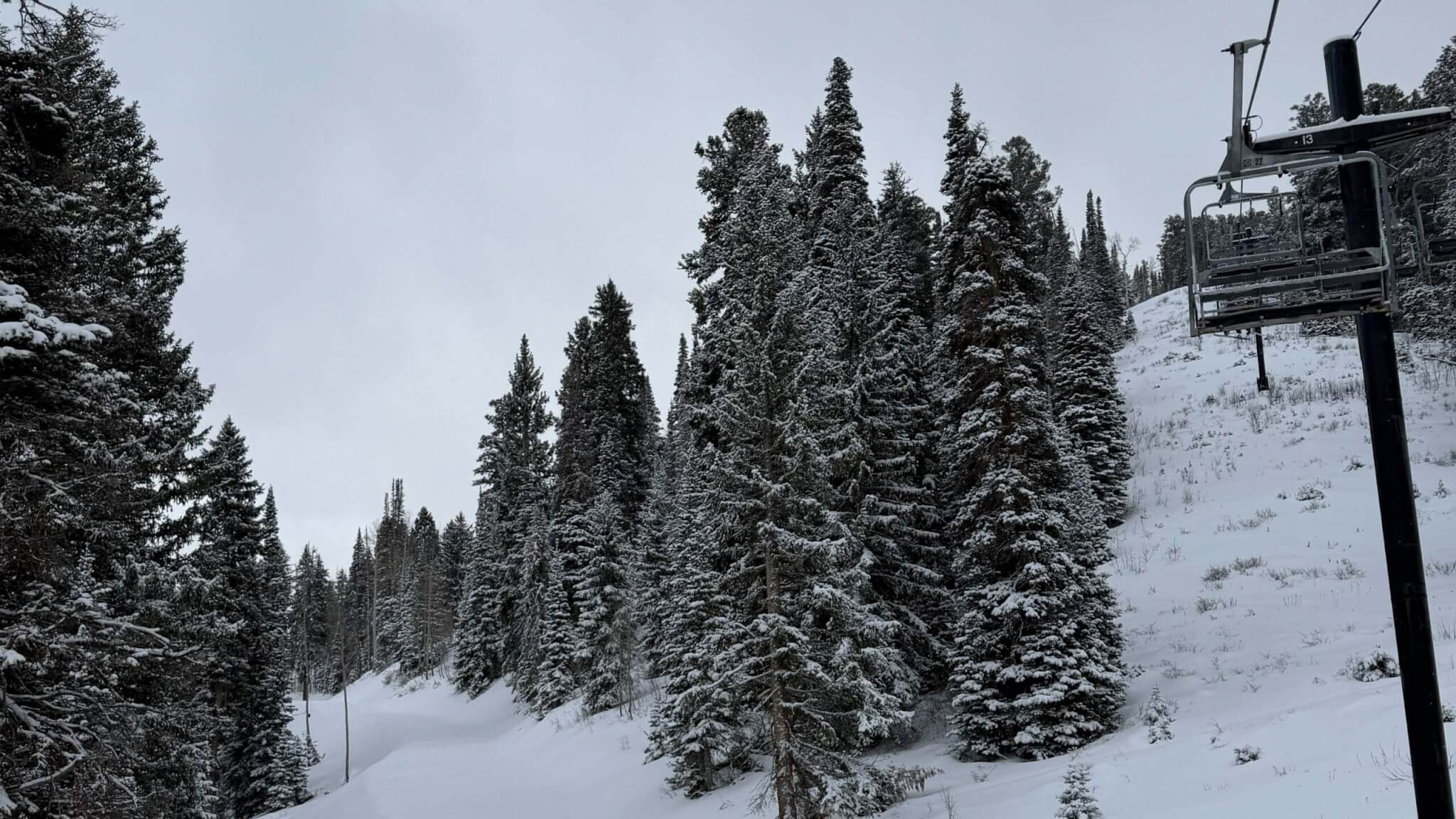 Amber’s Updates: New Year’s Eve & Nordic