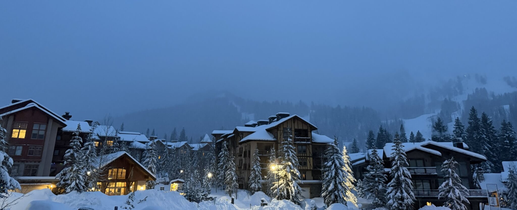 Amber’s Updates: MLK Weekend Events & Tour Solitude’s Lodging