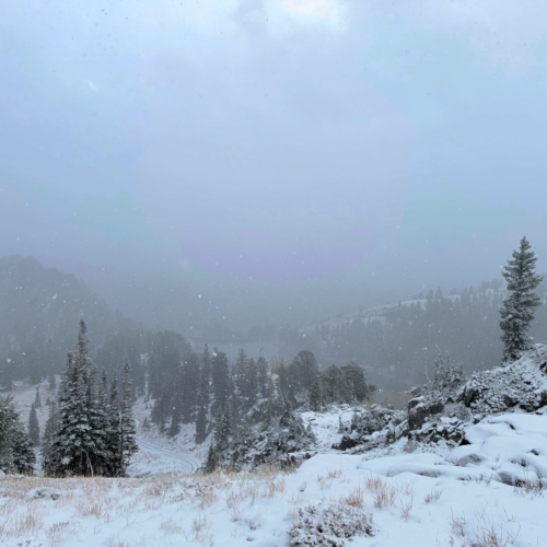 First snow at Solitude